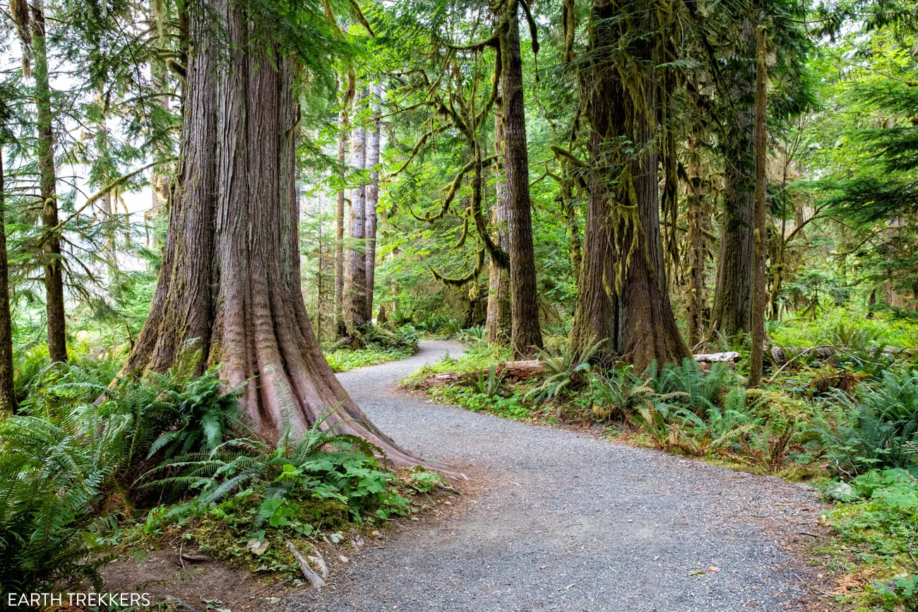 Things to do in Olympic National Park Photo