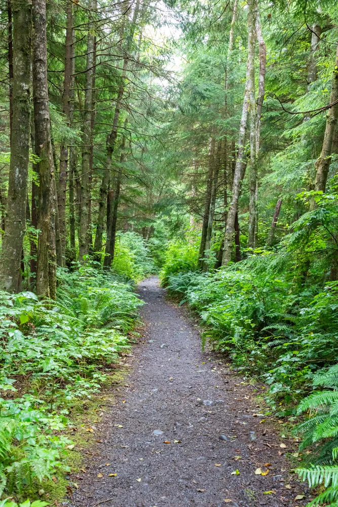 Third Beach Trail