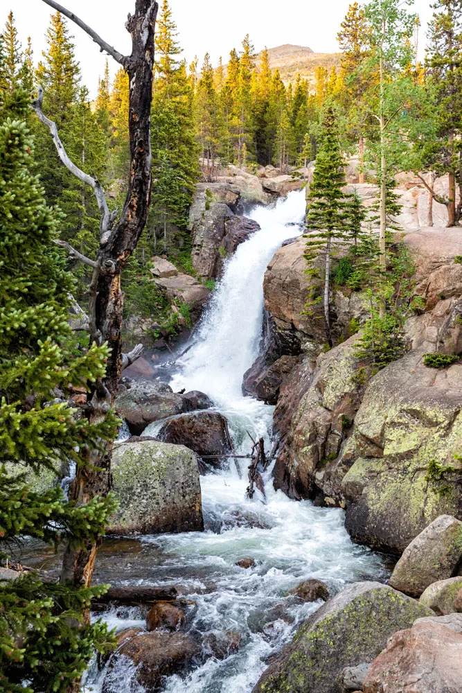 Alberta Falls