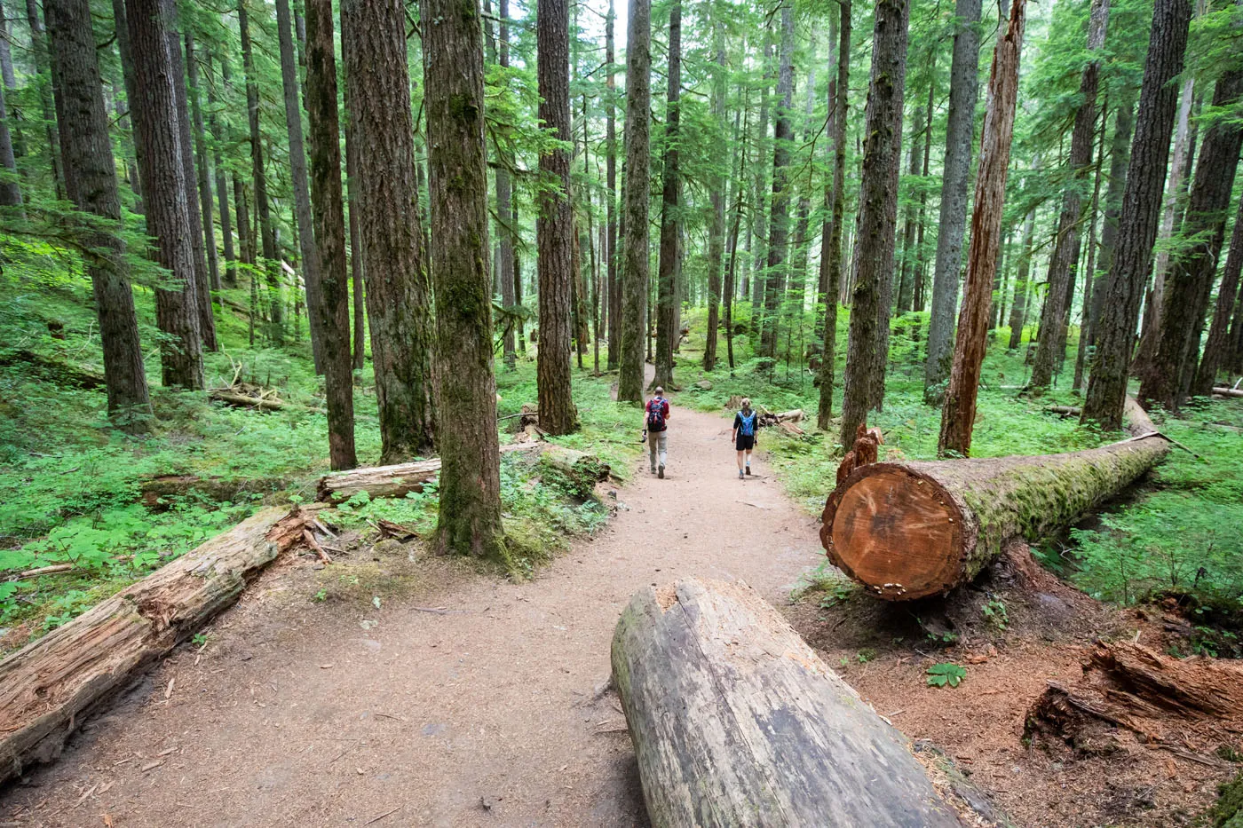 Beautiful Trail