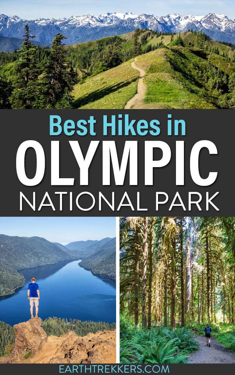 Top hikes olympic national cheap park