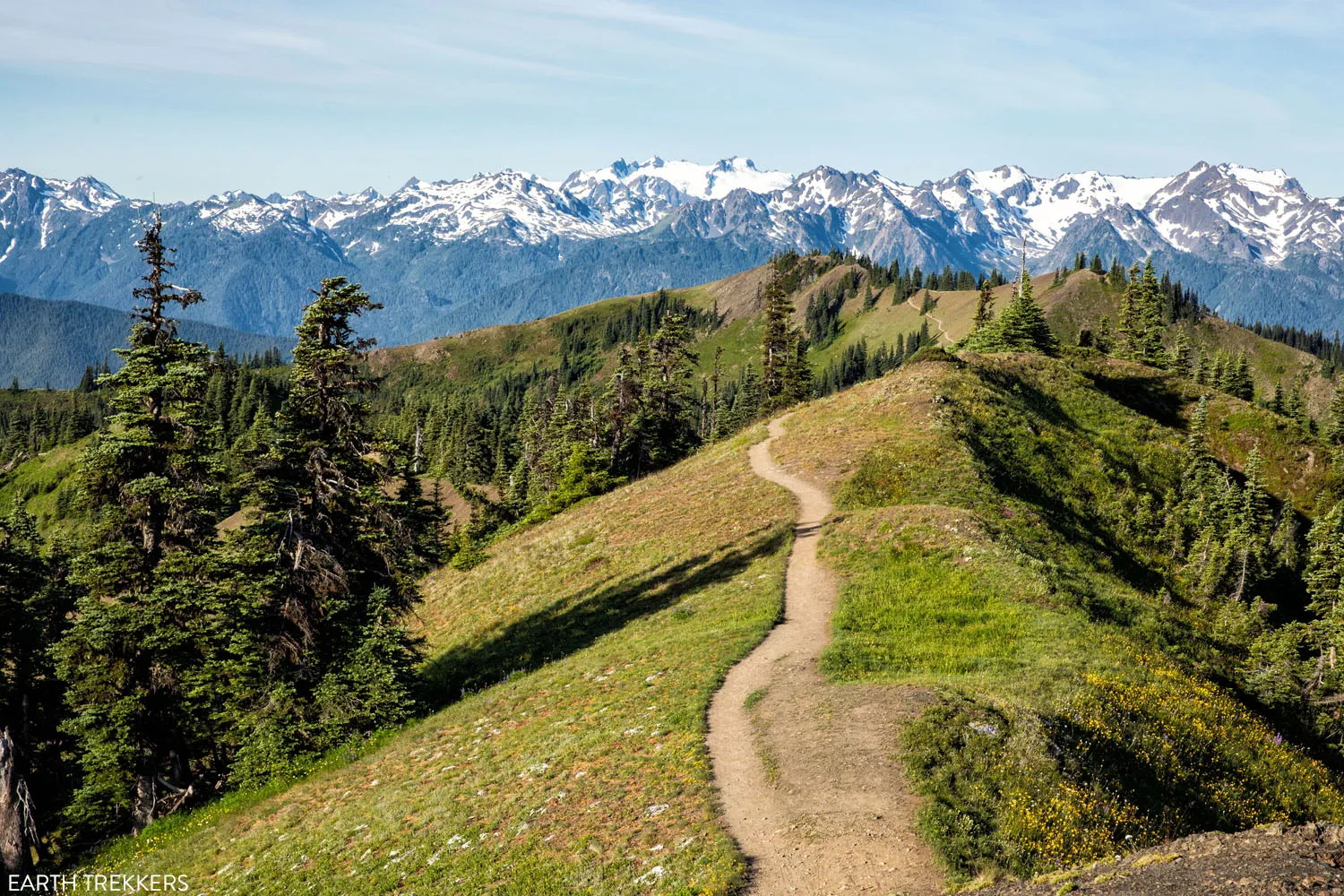 Olympic national outlet park hiking trails