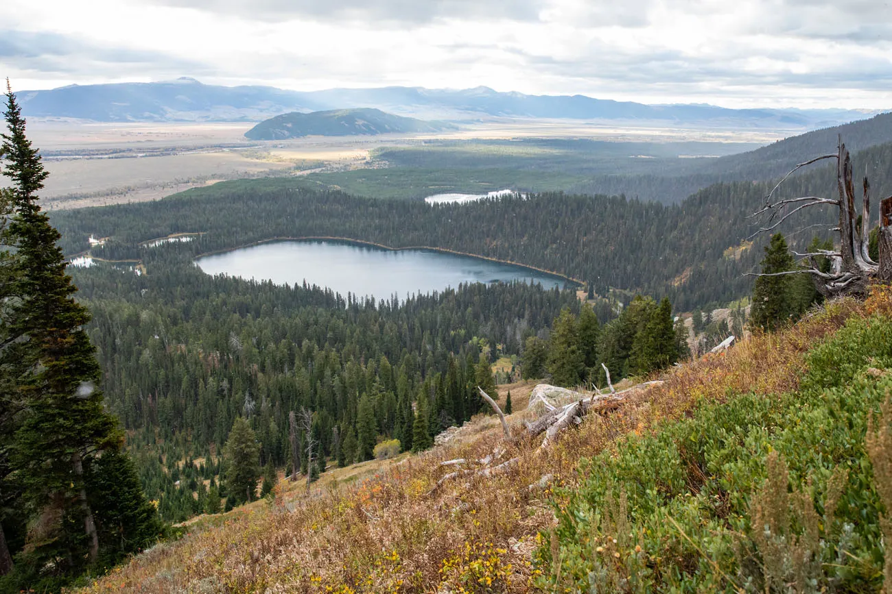 Bradley Lake