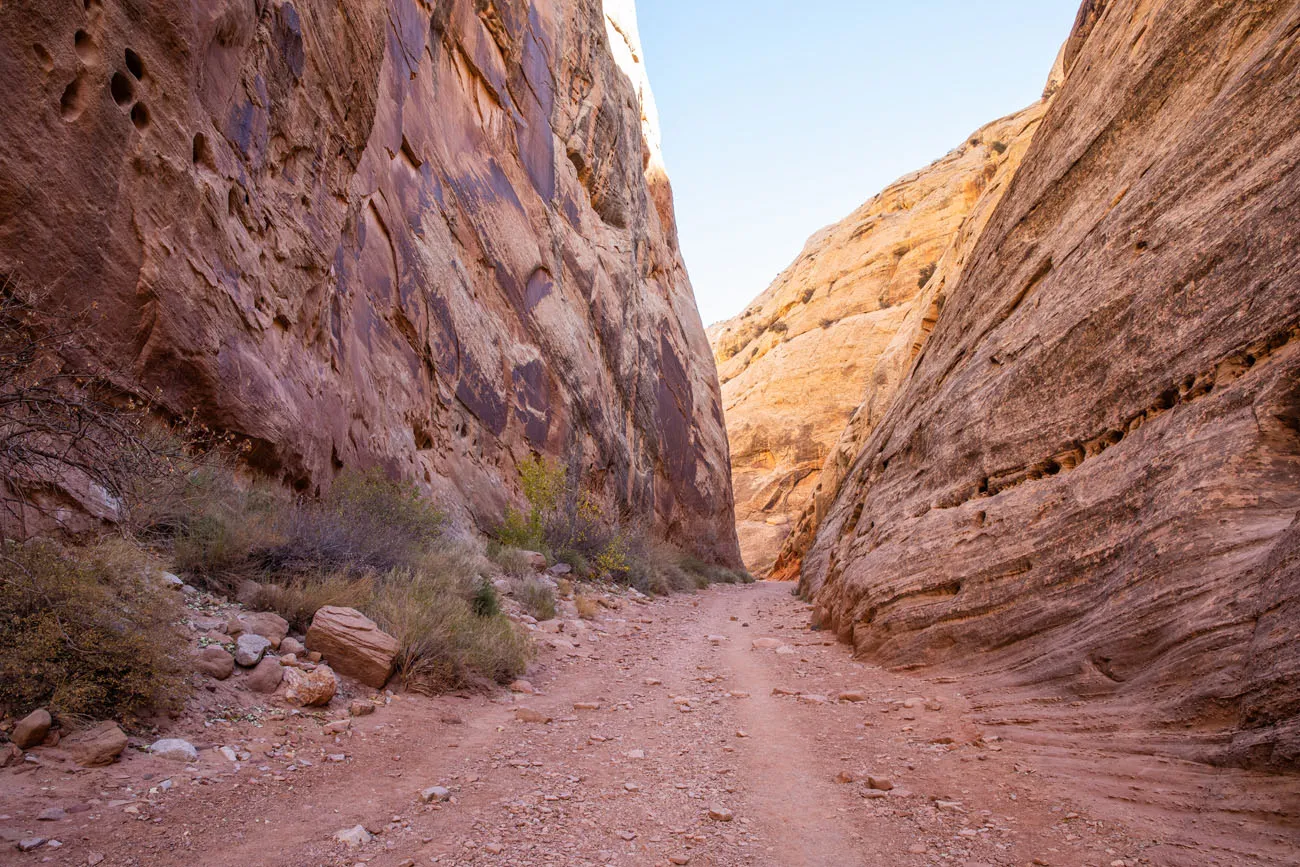 Capitol Gorge Trail