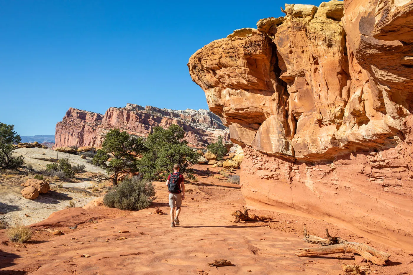 Cohab Canyon Trail