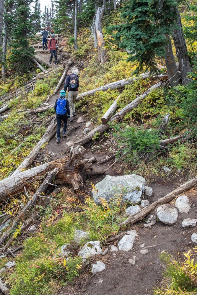 Delta Lake Dirt Trail