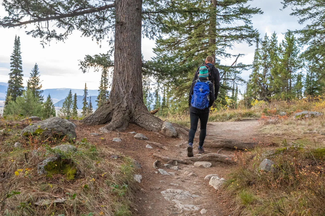 First Part of Hike GTNP