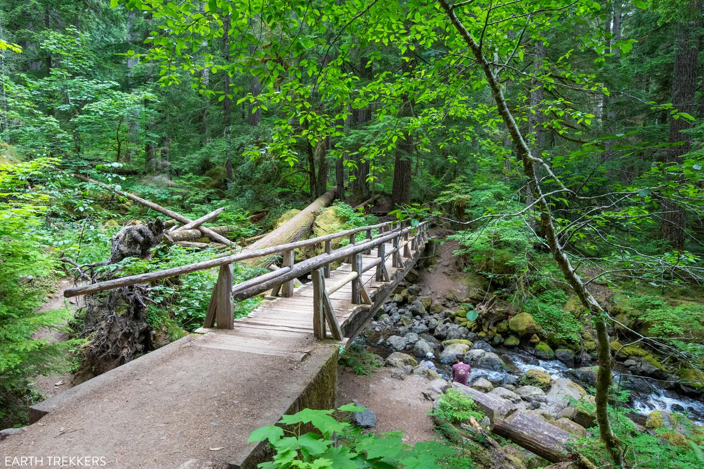 Great Hike in Mount Rainier