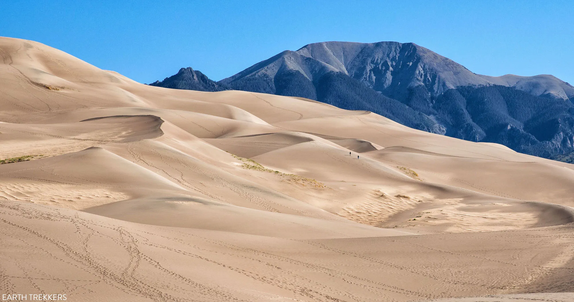 Colorado's Great Sand Dunes National Park