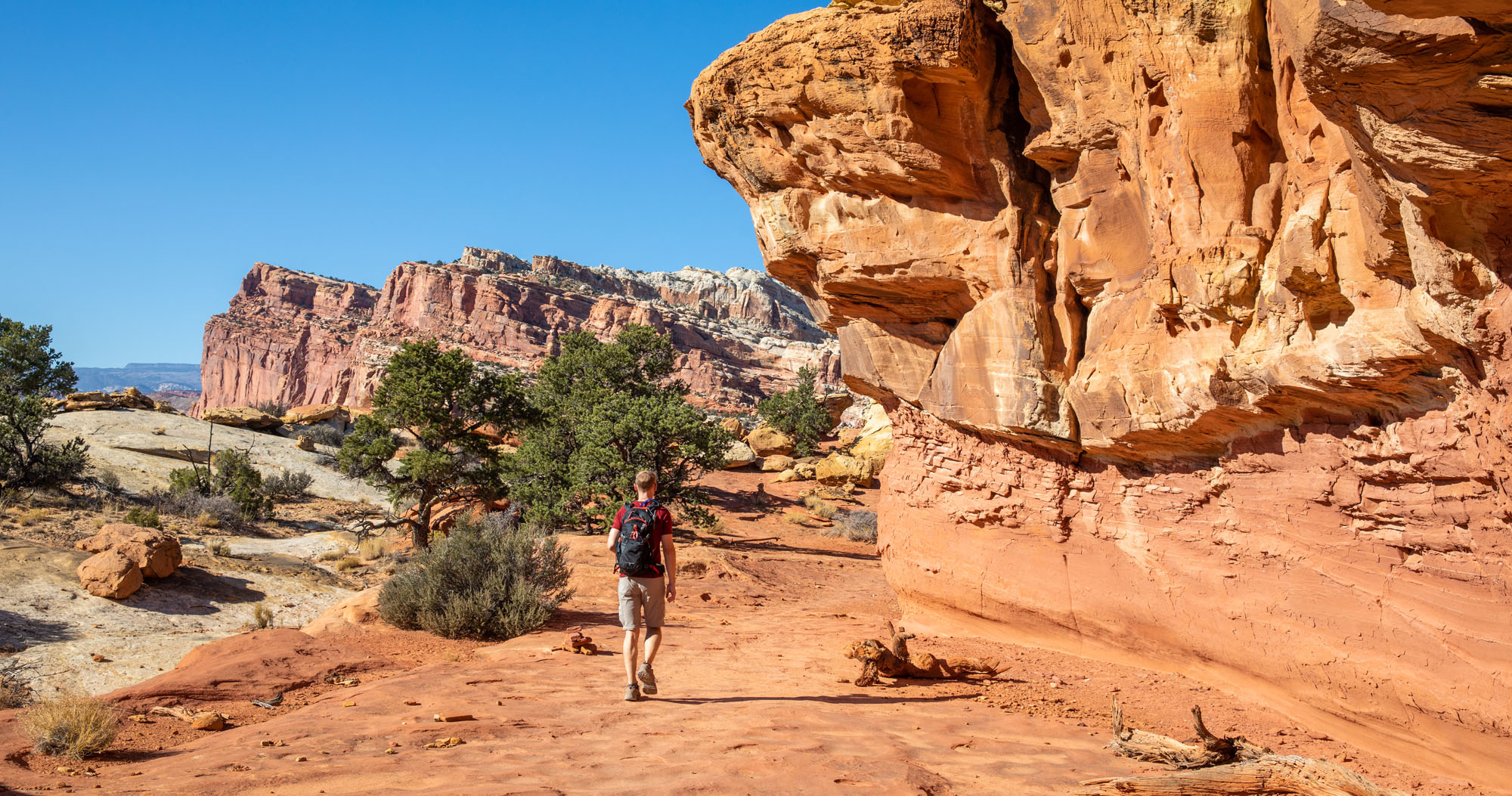 16 Epic Day Hikes in Capitol Reef National Park Earth Trekkers