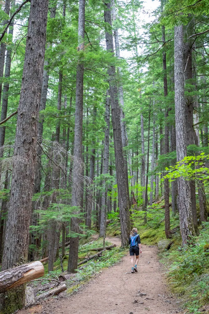 Hiking Mount Rainier July