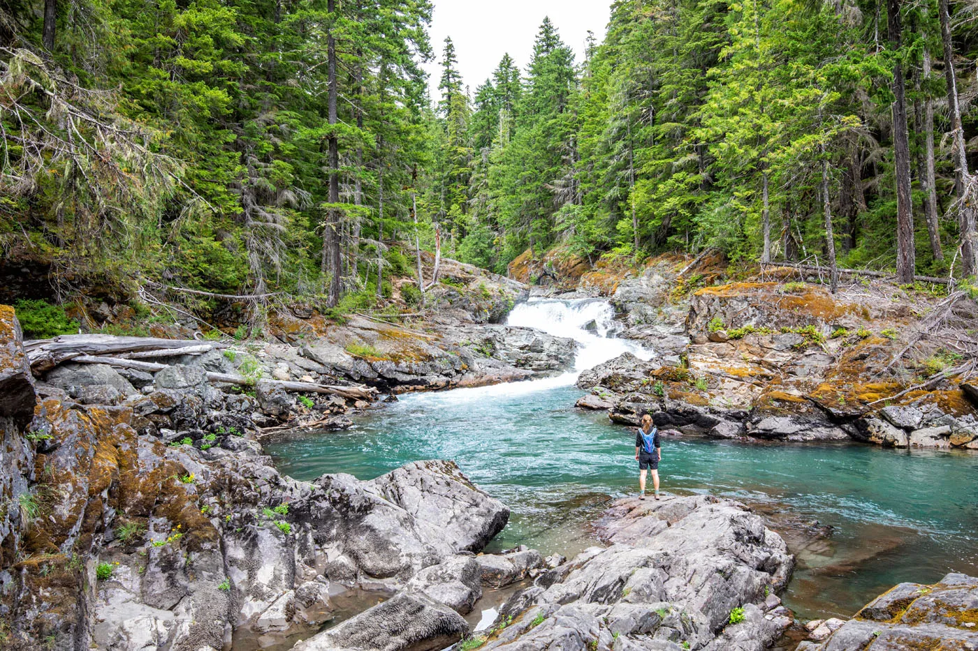 How to Hike the Silver Falls Loop Trail, Mount Rainier National Park ...