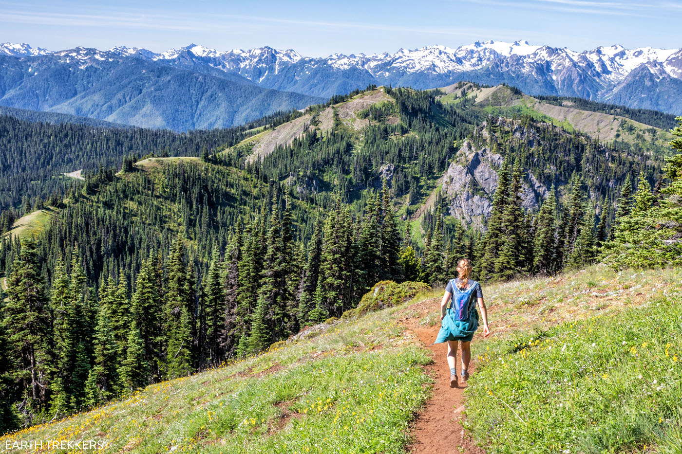 17 Great Hikes in Olympic National Park Map Photos Earth Trekkers