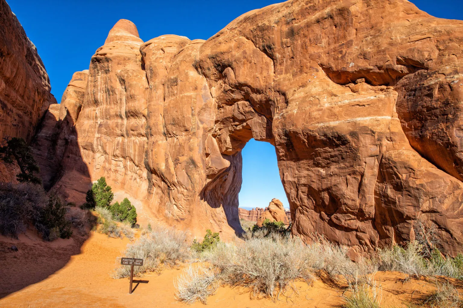 Pinetree Arch