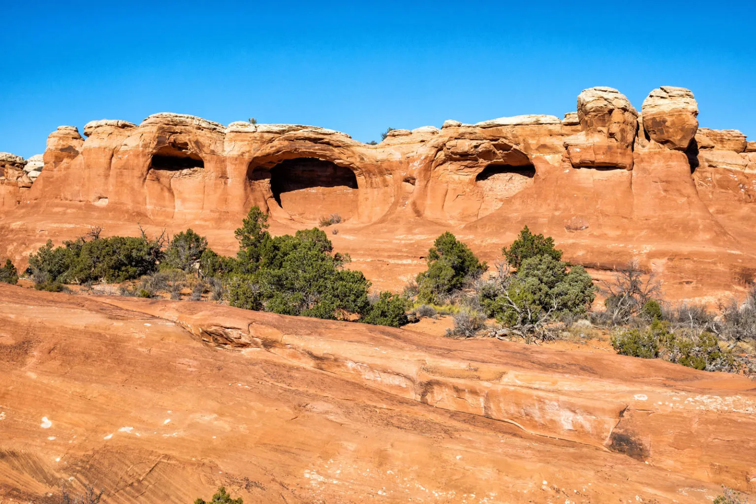 Tapestry Arch