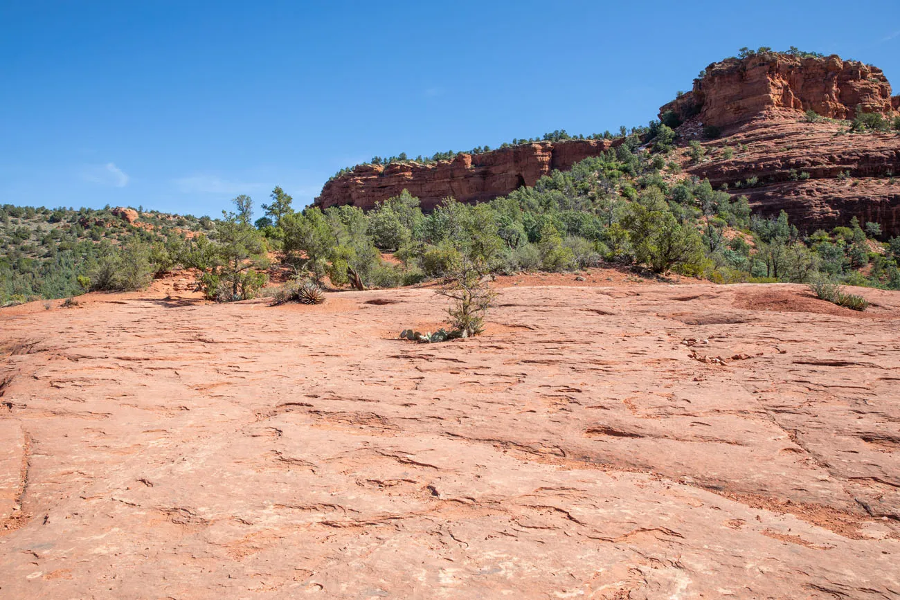 Across the Plateau