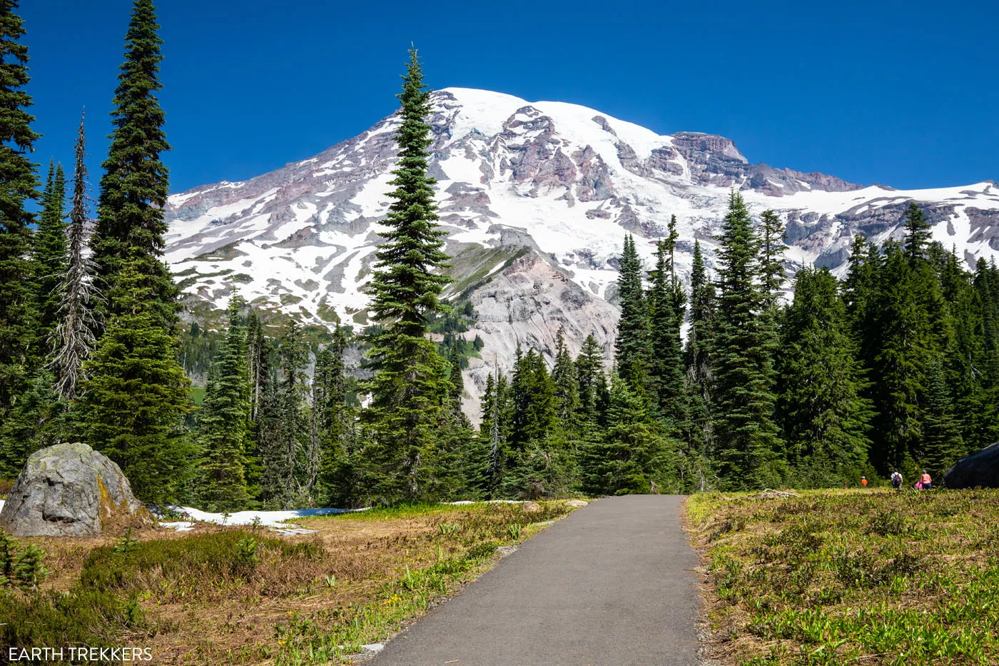 Nisqually Vista Trail