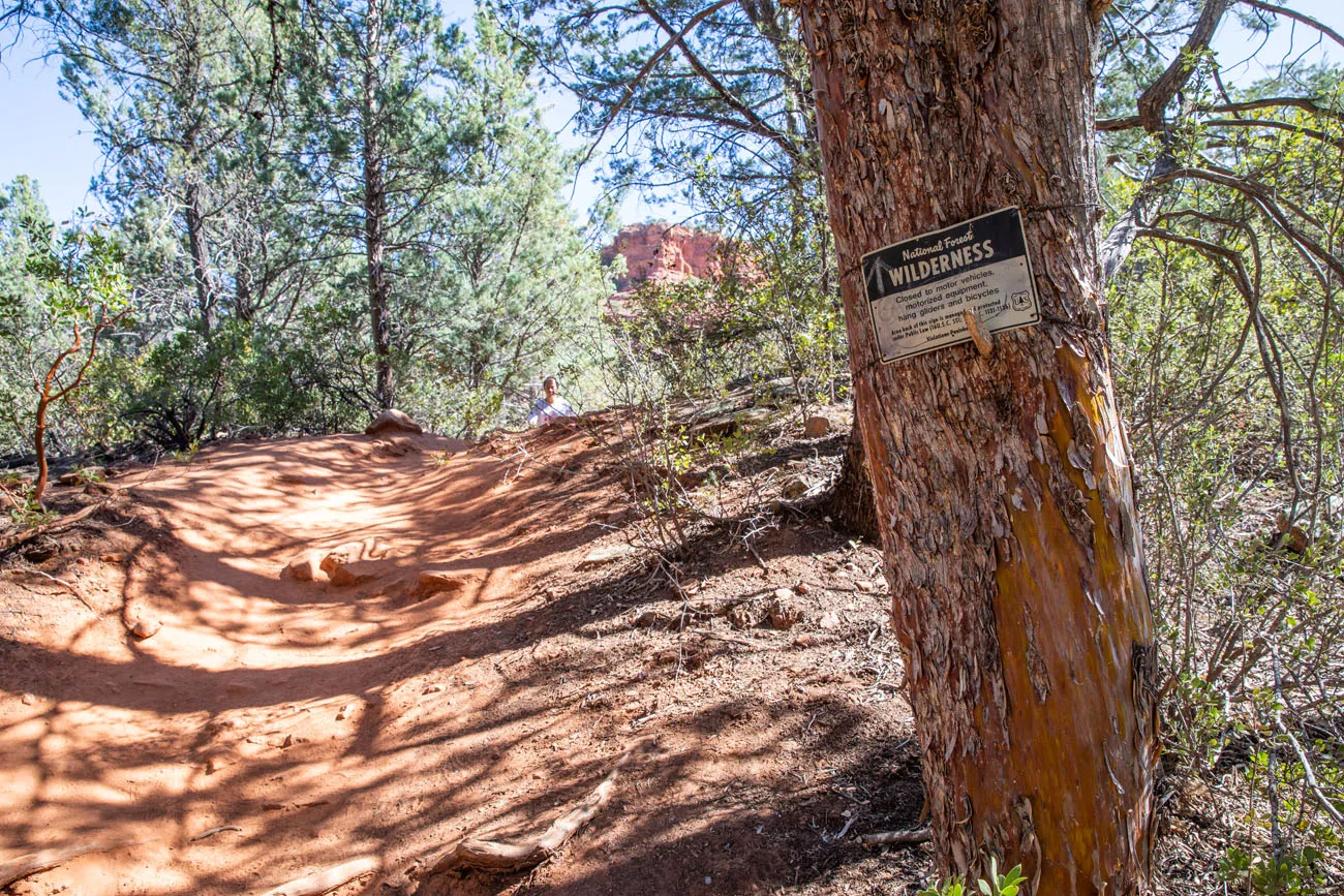 Sign on the tree