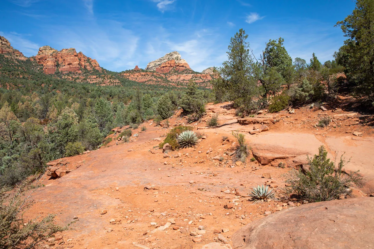 Soldier Pass Trail