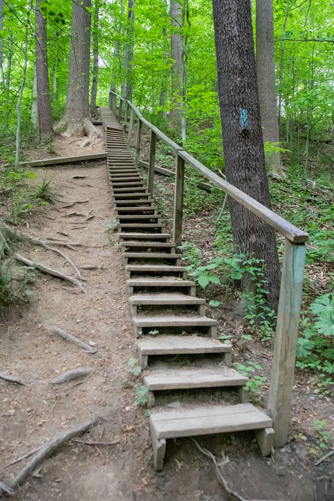 Blue Hen Falls Trail