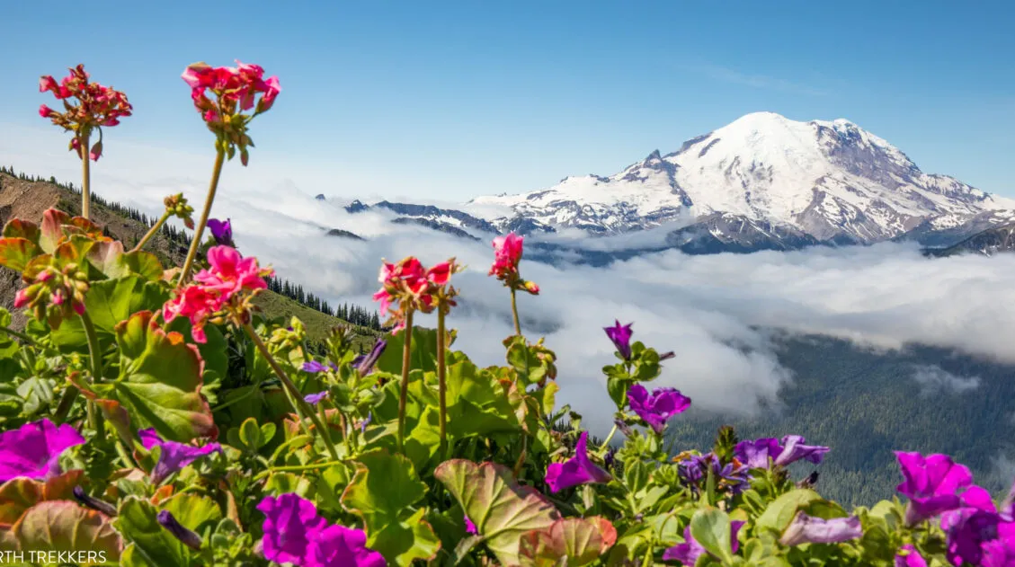 Mount Rainier Travel Guide Itinerary