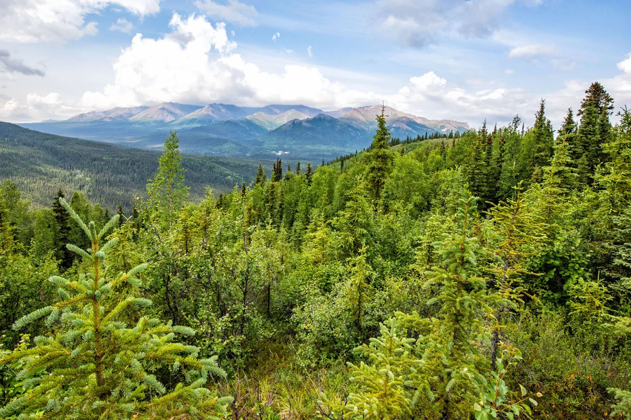 Another View from the Trail