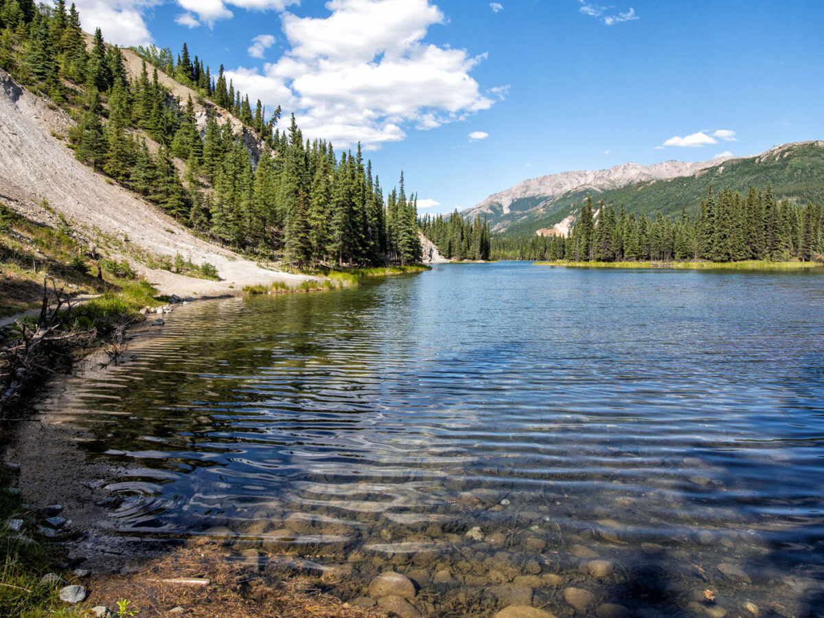 How to Hike the Horseshoe Lake Trail Denali National Park Earth Trekkers