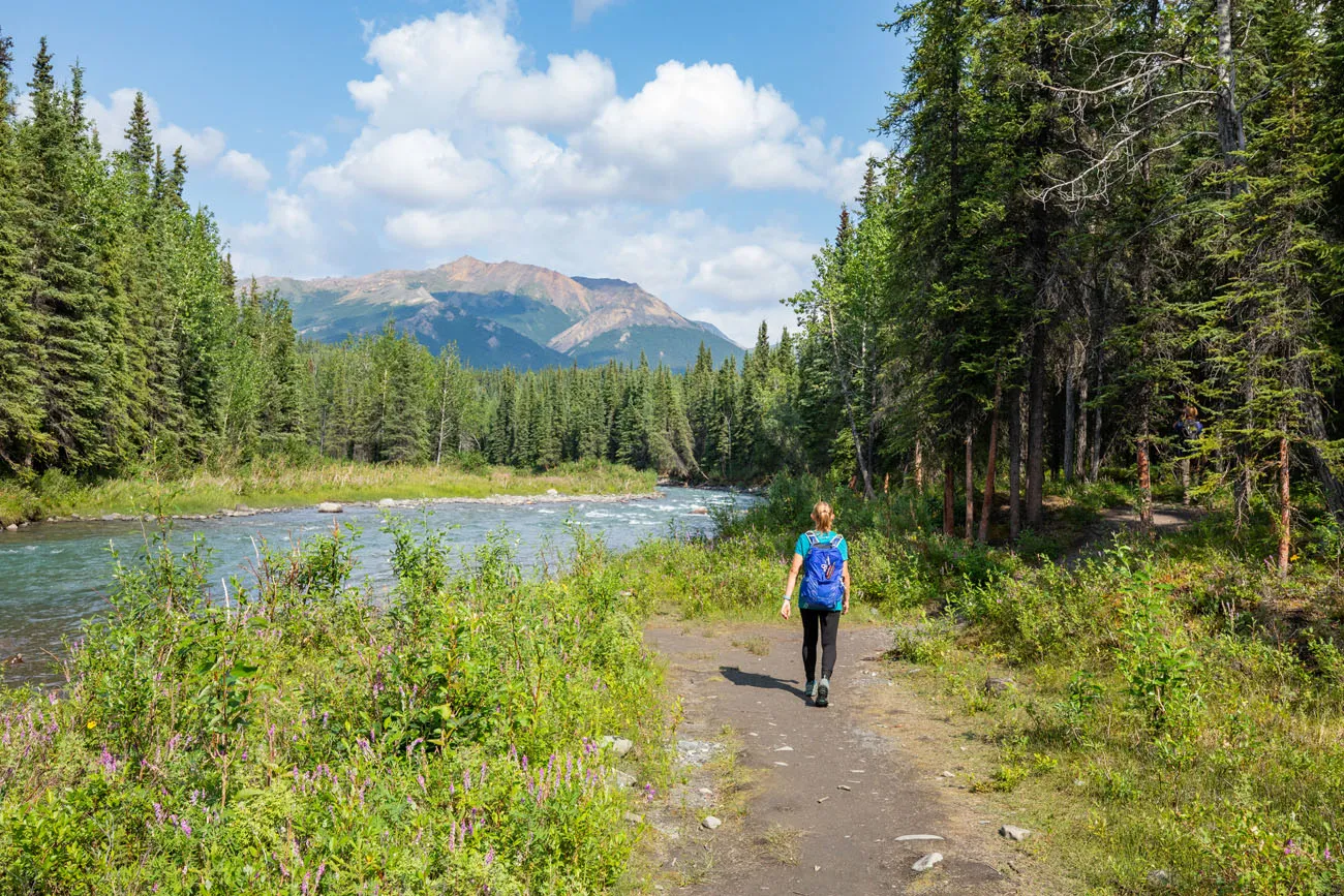 Kara hiking Denali