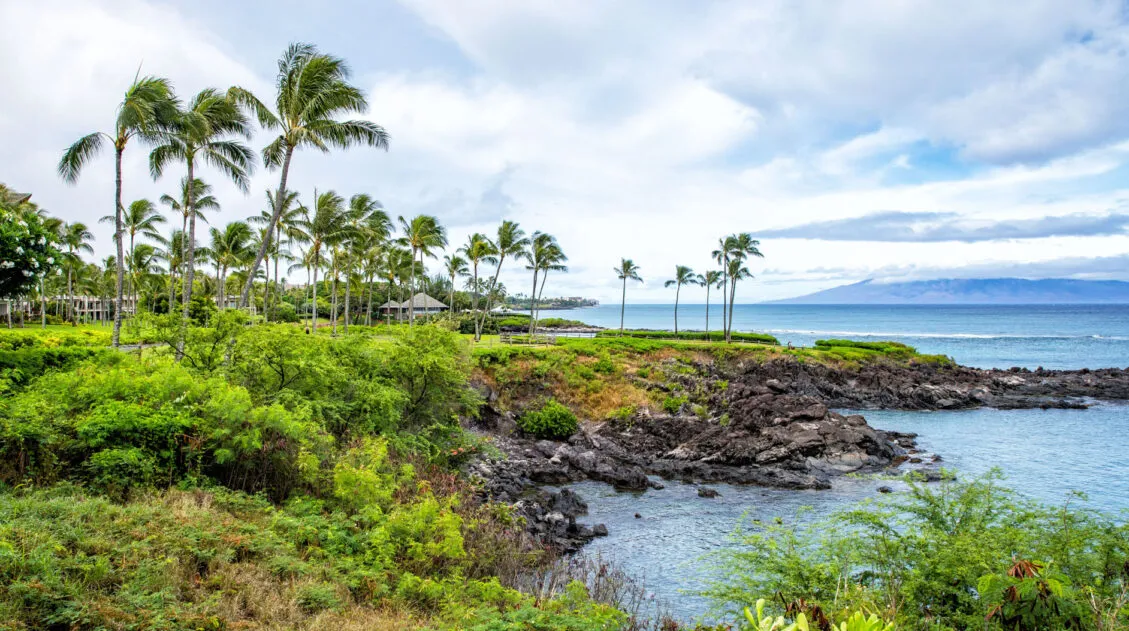 Maui Bucket List