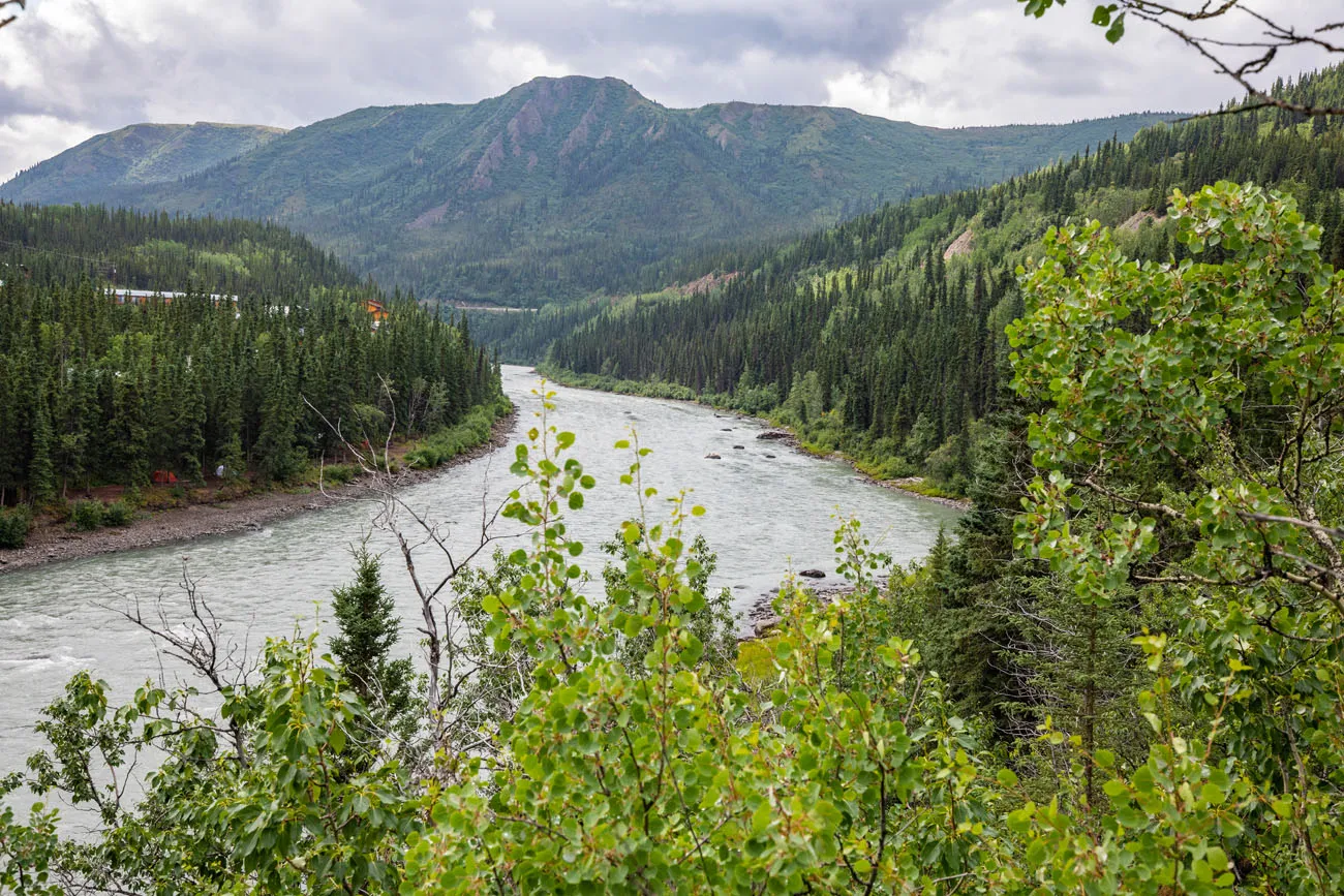 Nenana River