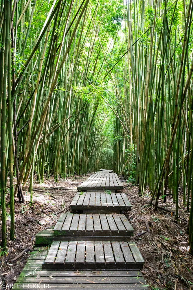 Road to Hana Hike best things to do in Haleakala National Park