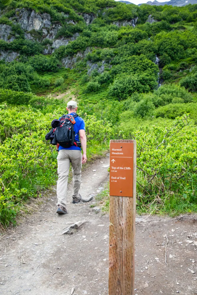 Top of the Cliffs Sign