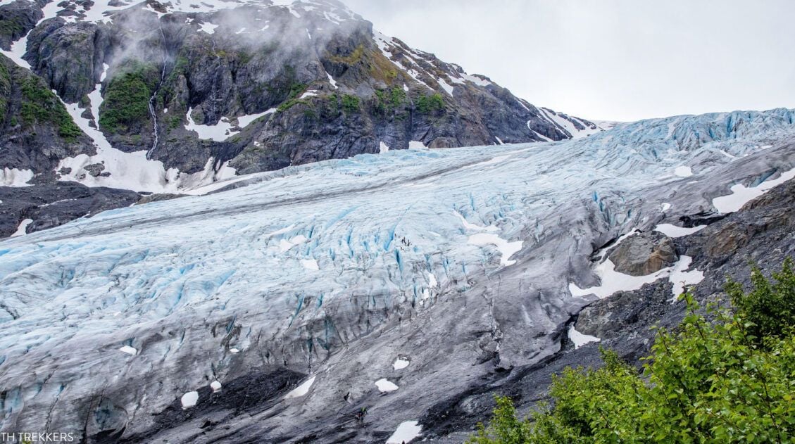 Exit Glacier