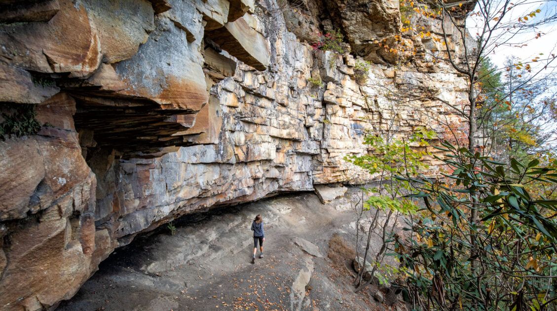 Best Hikes in New River Gorge