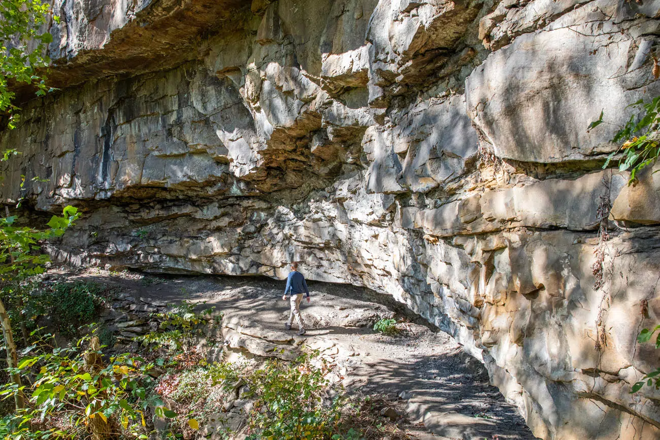 Cliff Side Trail