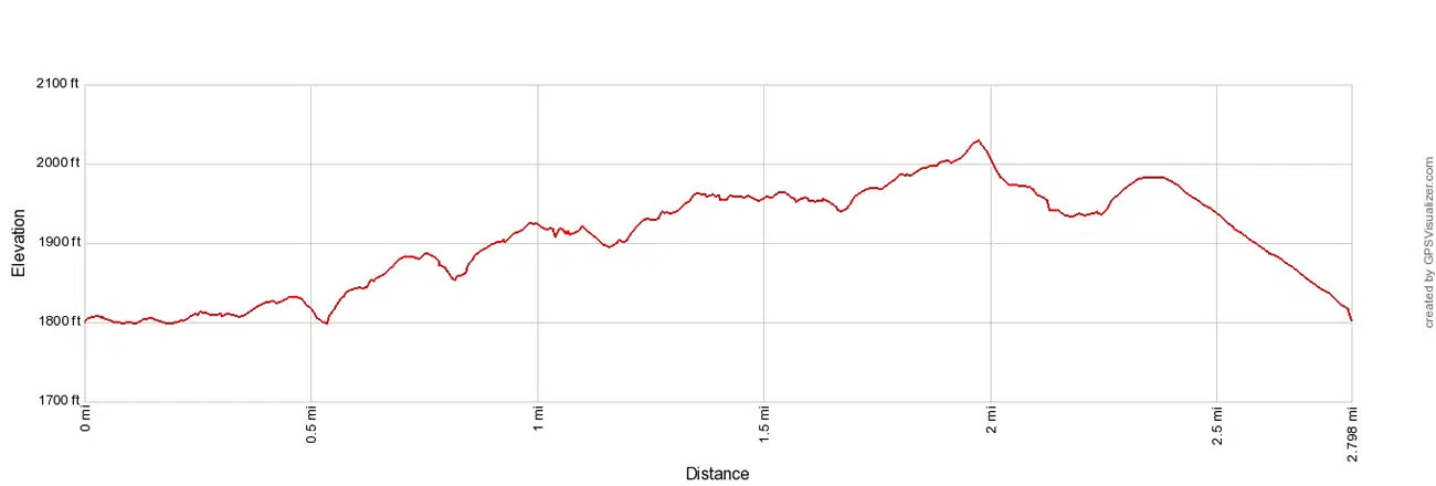 Endless Wall Trail Elevation Profile