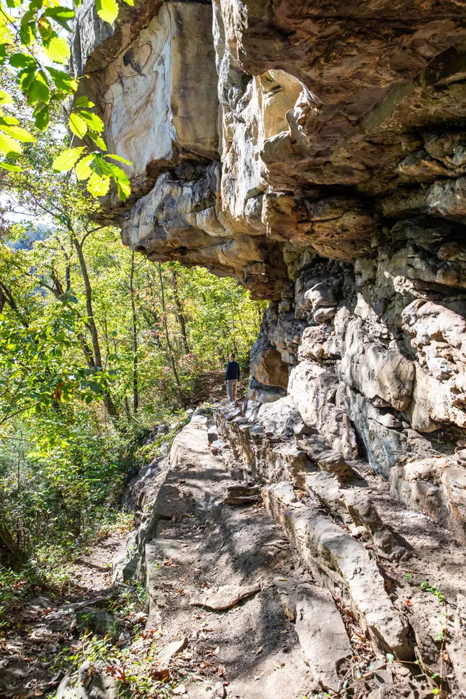 Hawks Nest State Park