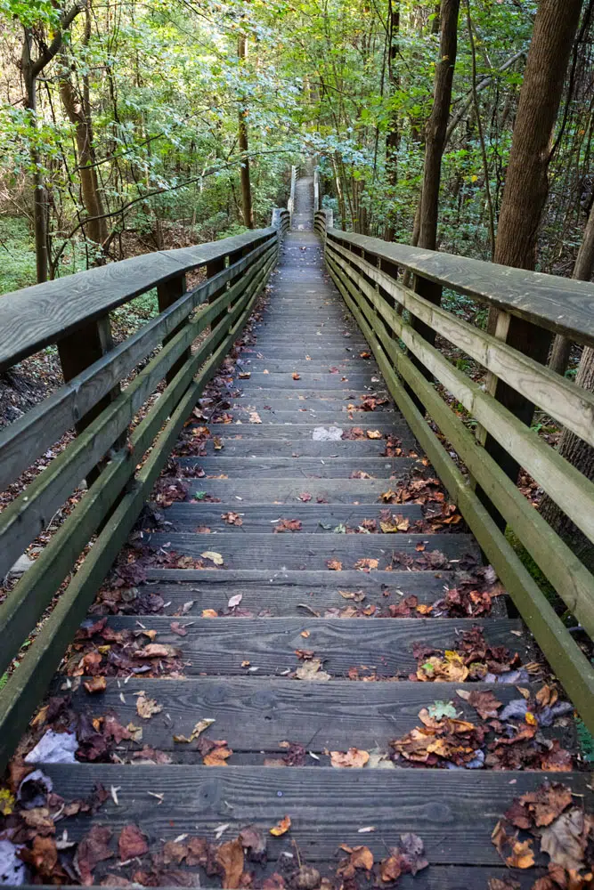 Kaymoor Miners Trail