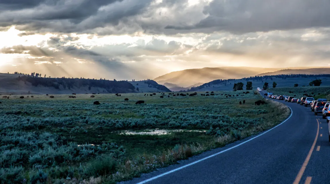 Lamar Valley Sunset