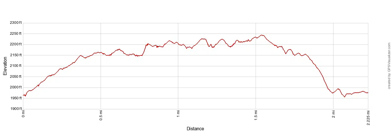 Root Glacier Hike Elevation Profile