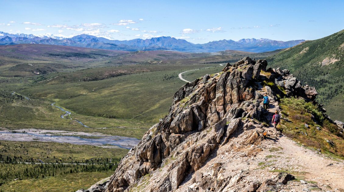 Savage Alpine Trail Denali