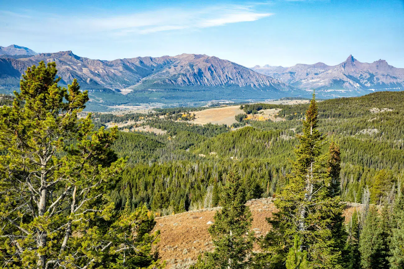 Yellowstone Overlook