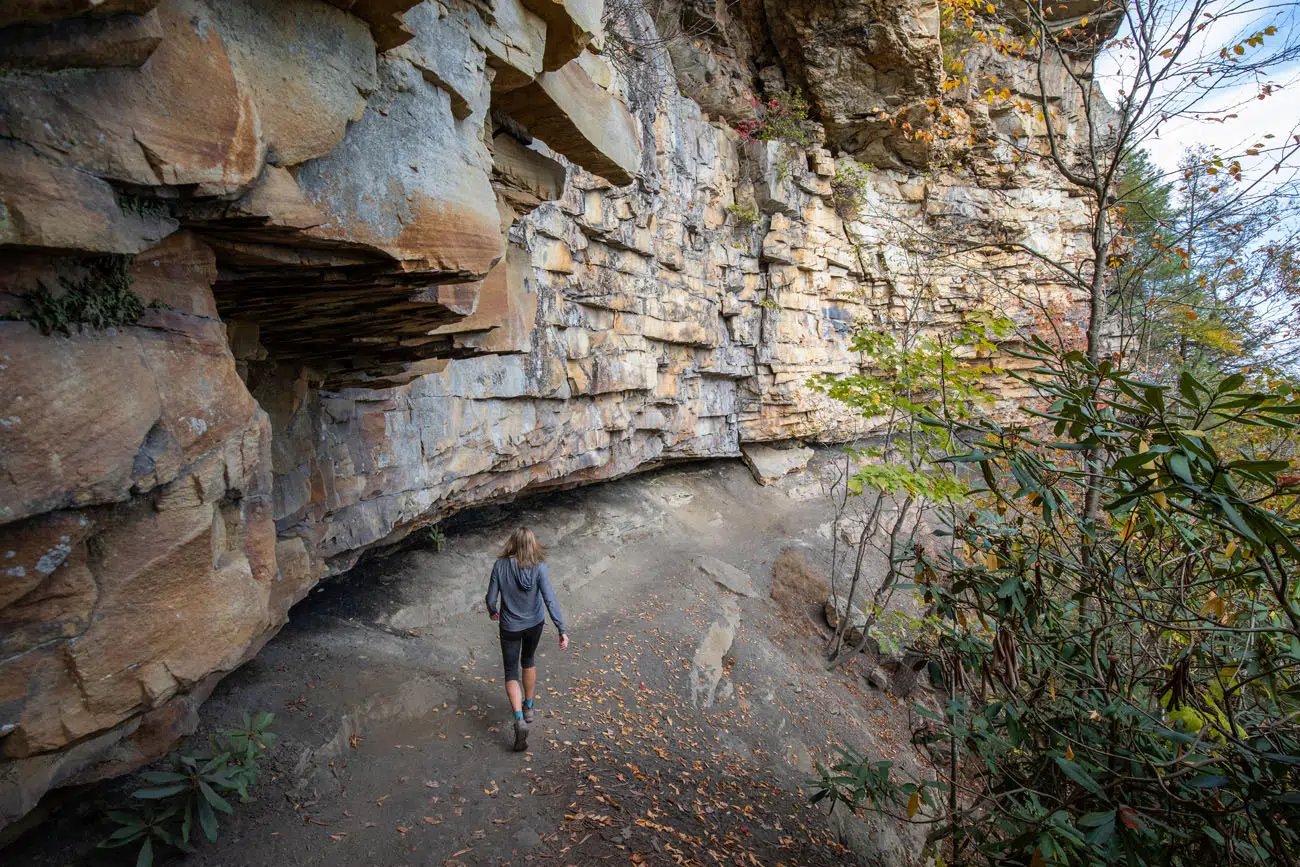 Best Hikes New River Gorge