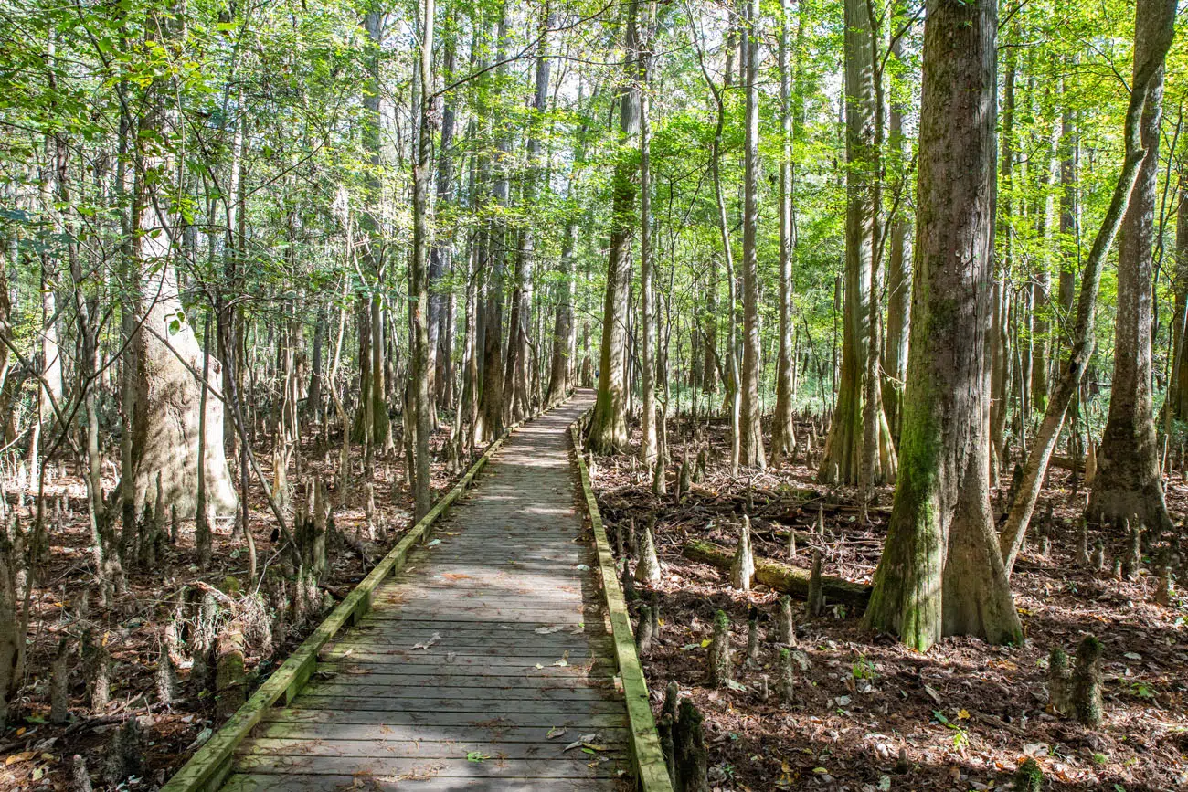 1. Locations of the Congaree National Park and the Savannah River