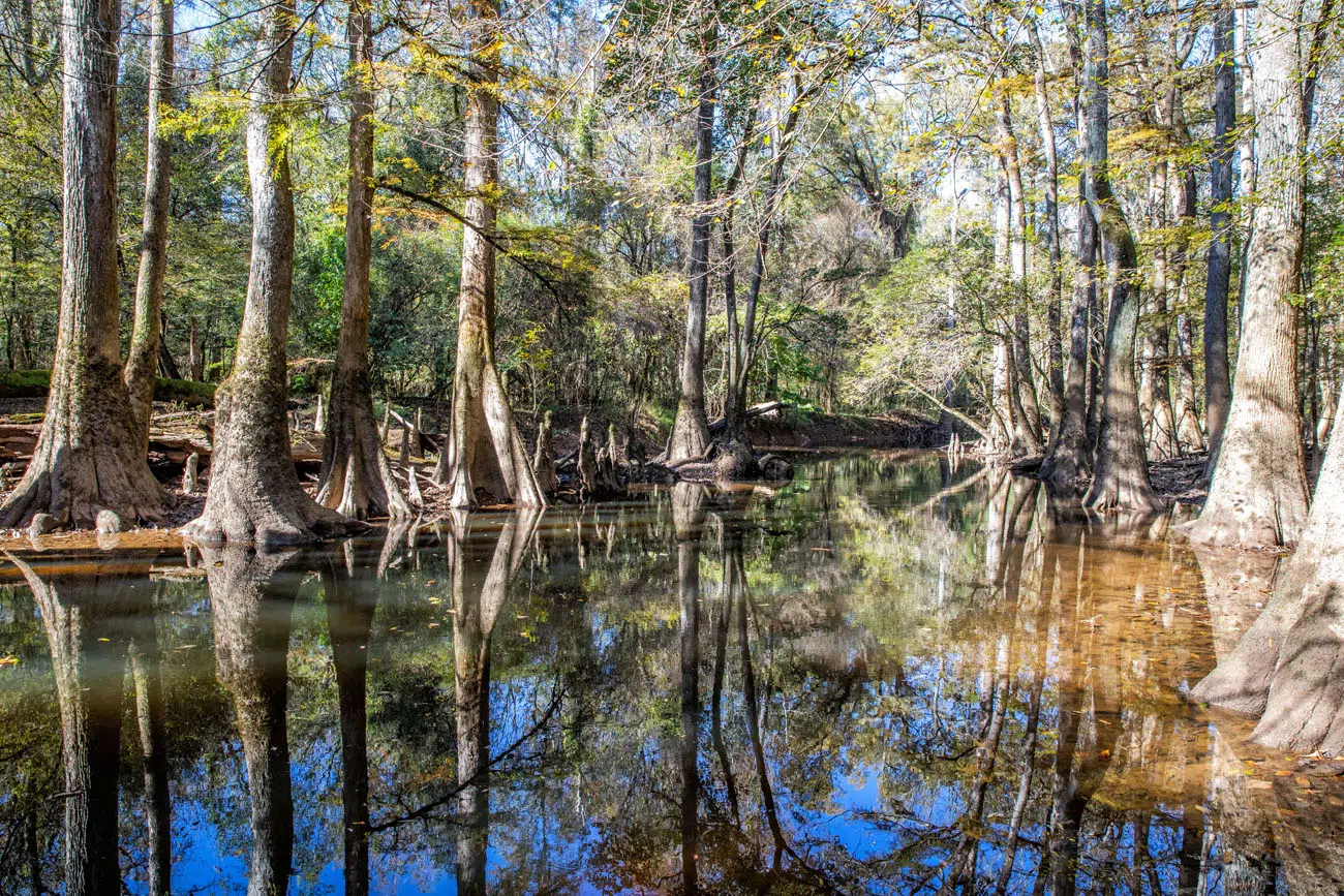 Congaree Itinerary