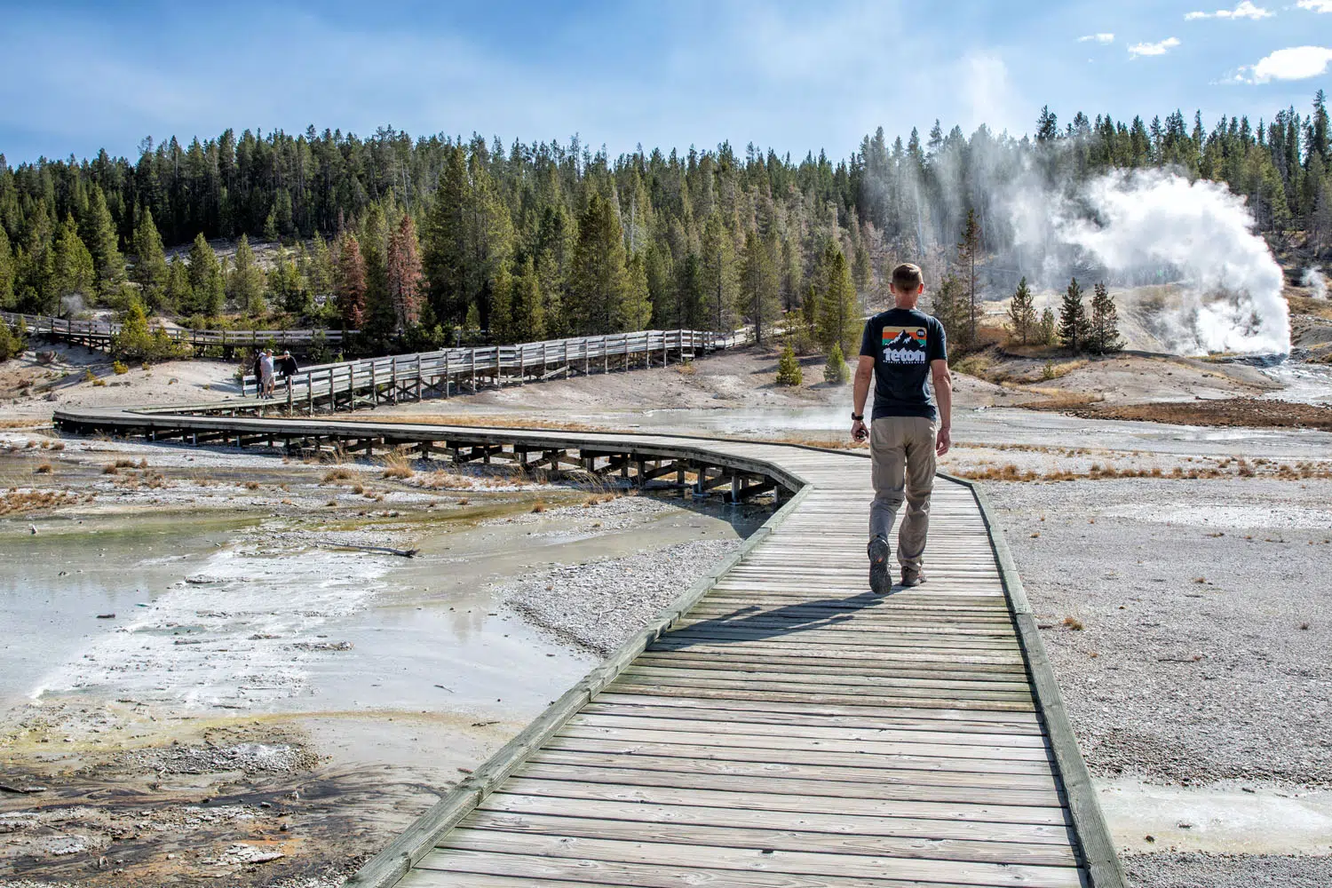 Porcelain Basin Norris Geyser Basin