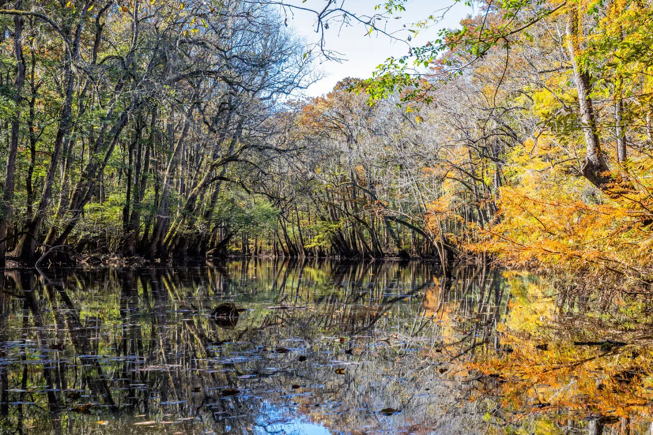 Wise Lake