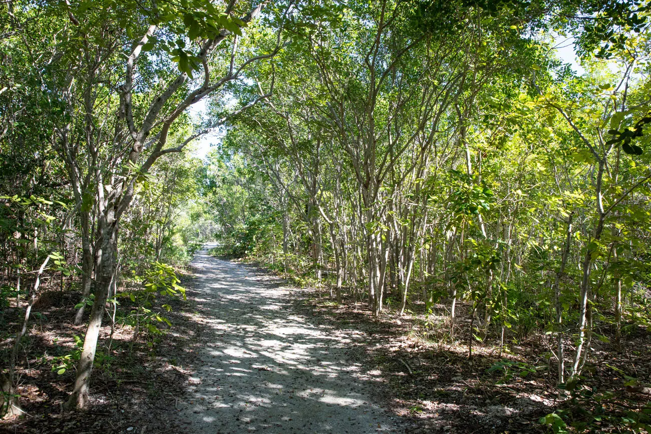 Boca Chita Hiking Trail