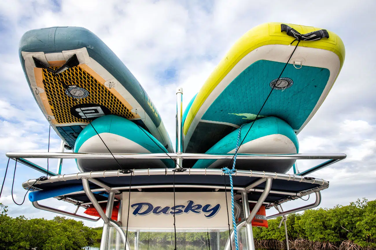 Paddle Boards best things to do in Biscayne National Park