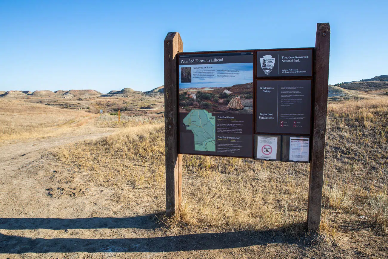 Petrified Forest Trailhead